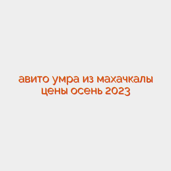 авито умра из махачкалы цены осень 2023